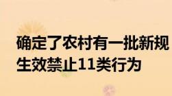 确定了农村有一批新规“禁令”2023年开始生效禁止11类行为