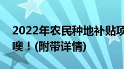 2022年农民种地补贴项目有哪些别忘了去领噢！(附带详情)