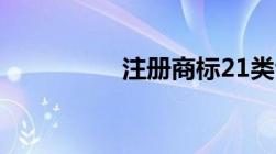 注册商标21类包括什么