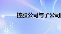 控股公司与子公司的区别是什么