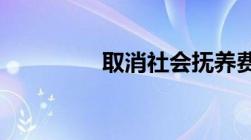 取消社会抚养费是啥意思