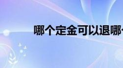 哪个定金可以退哪个定金不能退