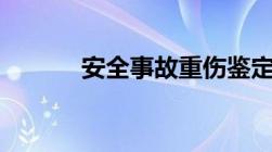 安全事故重伤鉴定标准是什么?