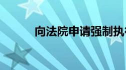 向法院申请强制执行申请书格式