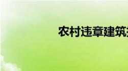 农村违章建筑拆除流程