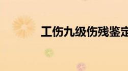 工伤九级伤残鉴定标准是什么