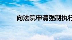 向法院申请强制执行需要哪些材料