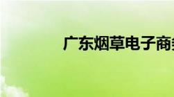 广东烟草电子商务网站登录