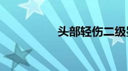 头部轻伤二级鉴定标准