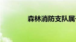 森林消防支队属于什么单位