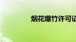 烟花爆竹许可证实施办法