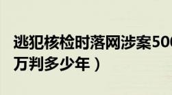 逃犯核检时落网涉案5000多万元（诈骗5000万判多少年）