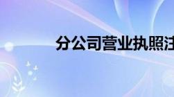 分公司营业执照注销具体流程