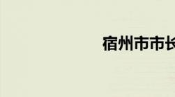 宿州市市长热线