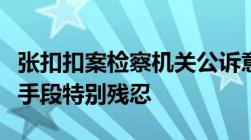 张扣扣案检察机关公诉意见书全文公布：犯罪手段特别残忍