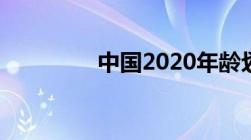 中国2020年龄划分新标准