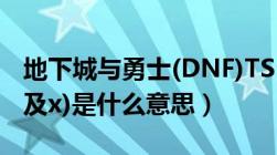 地下城与勇士(DNF)TS（警告码(x,及20004,及x)是什么意思）