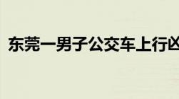 东莞一男子公交车上行凶致2死3伤怎么处罚