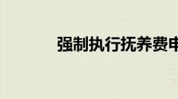 强制执行抚养费申请书怎样写