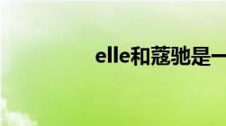 elle和蔻驰是一个档次吗