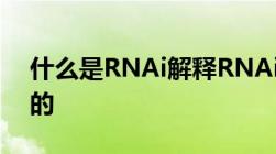 什么是RNAi解释RNAi是怎样发挥催化作用的