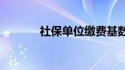 社保单位缴费基数是什么意思