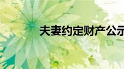 夫妻约定财产公示制度是什么