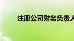 注册公司财务负责人可以是法人吗