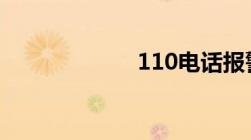 110电话报警程序