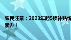 农民注意：2023年起5项补贴统一发到社保卡！一件事要抓紧办！