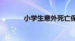 小学生意外死亡保险赔偿标准