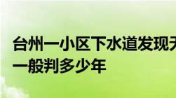 台州一小区下水道发现无名女尸故意伤害致死一般判多少年