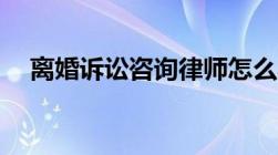 离婚诉讼咨询律师怎么收费标准是什么？