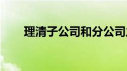 理清子公司和分公司之间的本质区别