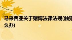 马来西亚关于赌博法律法规(触犯马来西亚赌场的法律法规怎么办)