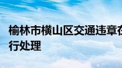 榆林市横山区交通违章在哪个地方的车管所进行处理