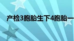 产检3胞胎生下4胞胎一胎多子是作超生吗