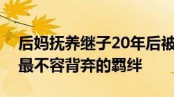 后妈抚养继子20年后被拒绝赡养！亲情是你最不容背弃的羁绊