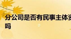 分公司是否有民事主体资格分公司是独立法人吗