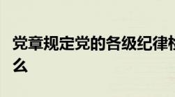 党章规定党的各级纪律检查委员会的职责是什么