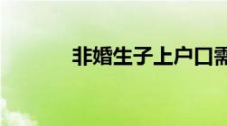 非婚生子上户口需要什么资料