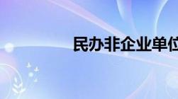 民办非企业单位包括什么