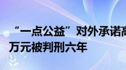 “一点公益”对外承诺高额返利王某涉案上千万元被判刑六年