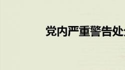 党内严重警告处分什么意思