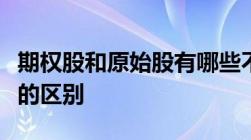 期权股和原始股有哪些不同的地方期权和股权的区别