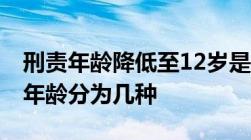 刑责年龄降低至12岁是怎样规定的 刑事责任年龄分为几种