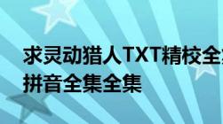 求灵动猎人TXT精校全集.无乱码无错别字无拼音全集全集