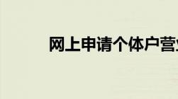 网上申请个体户营业执照的流程