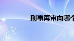 刑事再审向哪个法院提出