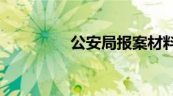 公安局报案材料格式范文